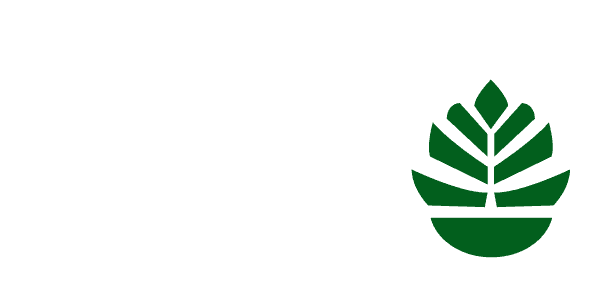 Lo Mejor del Pino